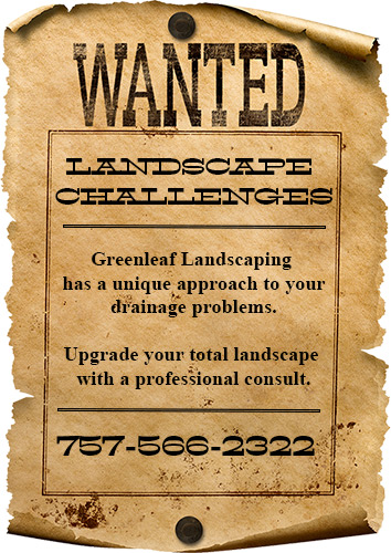 Greenleaf Landscaping Drainage Expert Williamsburg Virginia